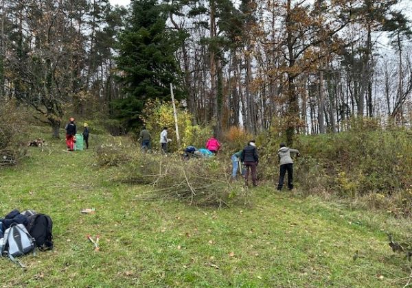 2024 Rent a banker landwirtschaft 03
