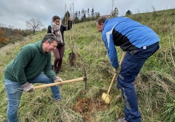 2024 Rent a banker landwirtschaft 05