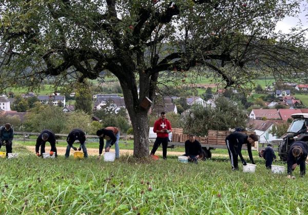 2024 Rent a banker landwirtschaft 3
