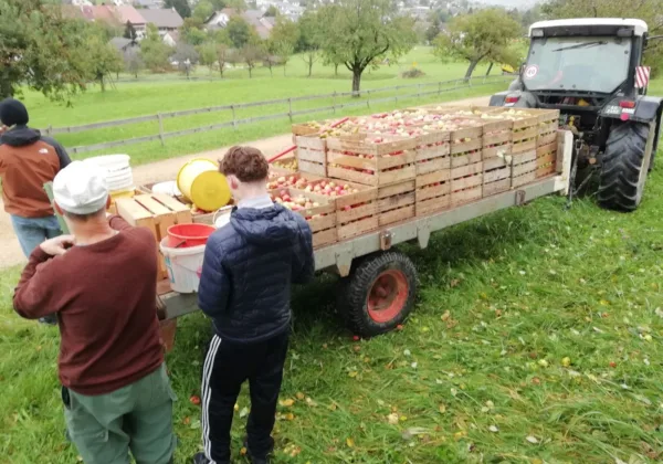 2024 Rent a banker landwirtschaft 4