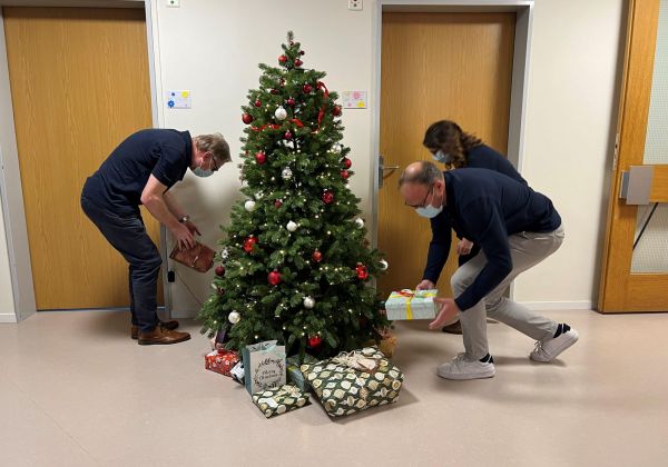 Wunschbaum 2025 IMG 4394