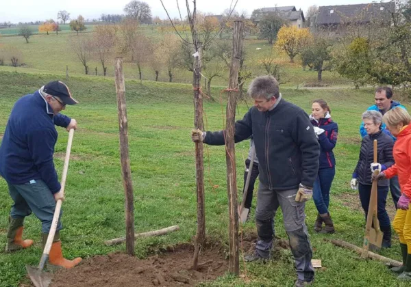 2018 11 15 Baumpflanzaktion Bild3