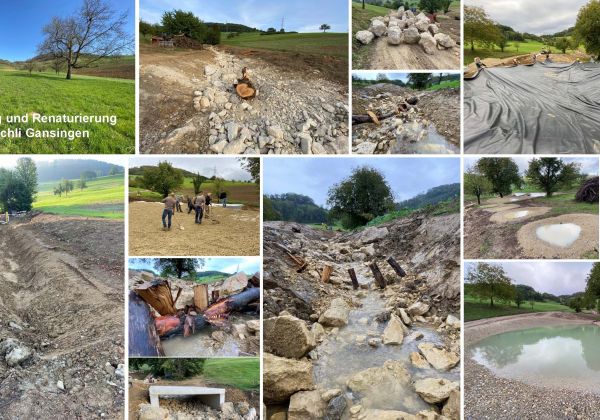 Jubilaeumsfonds gansingen Bisletenbaechli